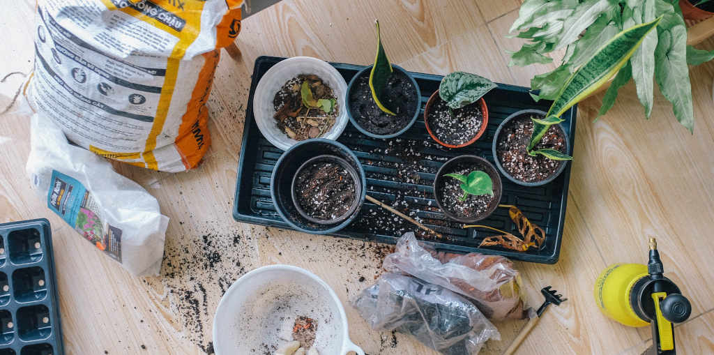 greenhouse and gardening accesories