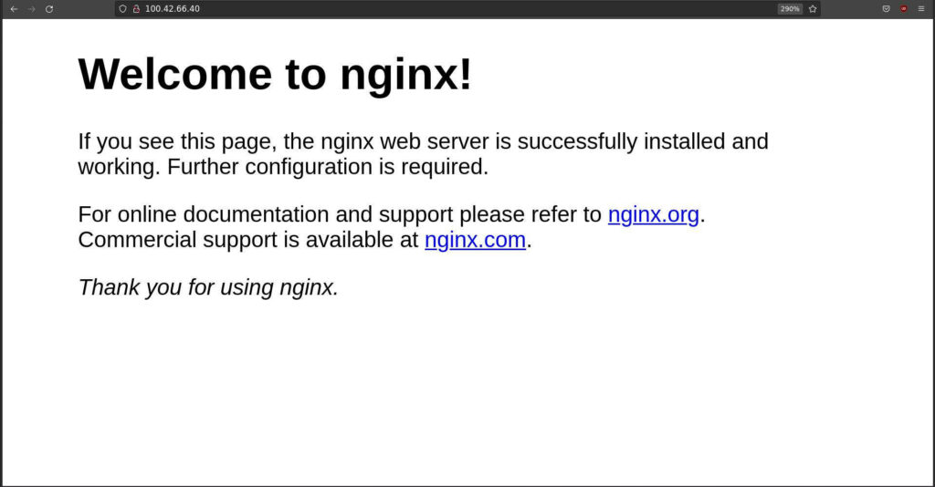 The default nginx HTML page