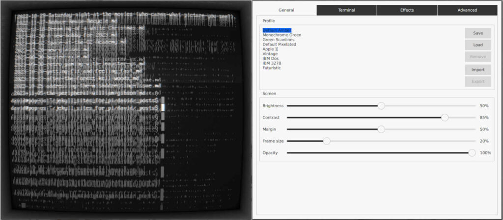 Screen split vertically into two. cool-retro-term on the left, with the setings menu on the right