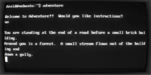 Colossal cave adventure displayed on cool retro term. Blurry white writing on a glitchy background