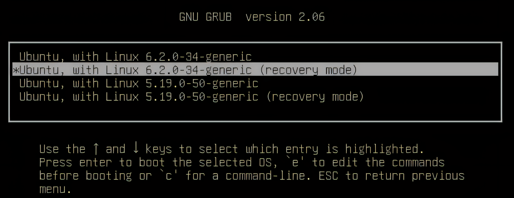 Gnu Grub advance menu with a recovery mode entry highlighted