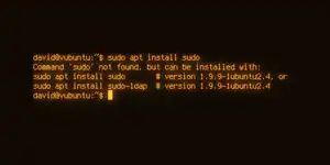output for the command sudo apt install sudo displayed in cool retro term