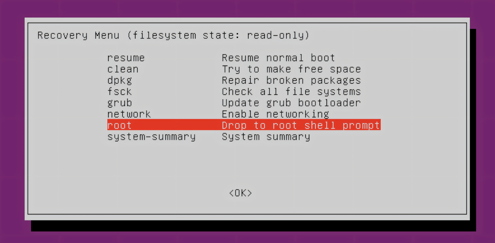 Grub system recovery menu with "Drop to root shell prompt" highlighted 