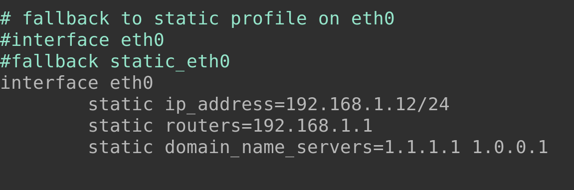 Content of the dhcpcd conf file showing static addresses