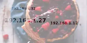 A raspberry pi (food) overlaid by IP addresses