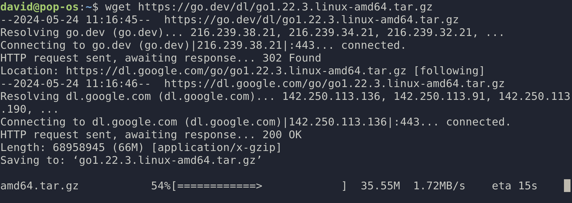 using wget to download the golang tarball